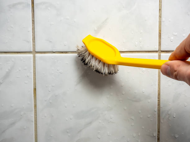 Best Mold Testing  in Pelican Bay, TX