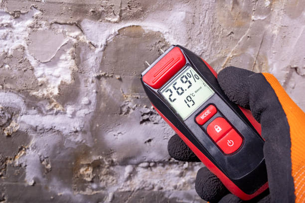 Best Same-Day Mold Removal  in Pelican Bay, TX