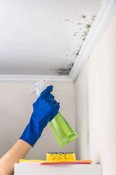 Best Mold Cleaning Services  in Pelican Bay, TX